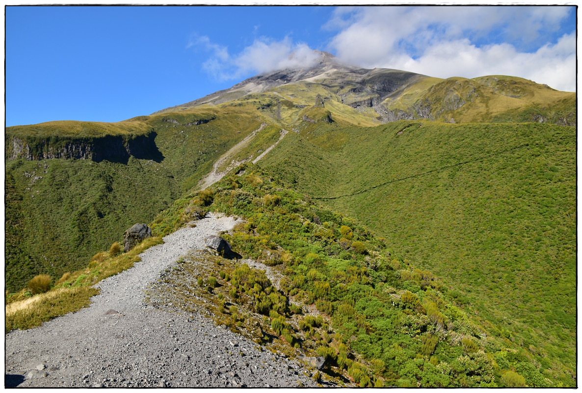 Escapadas y rutas por la Nueva Zelanda menos conocida - Blogs de Nueva Zelanda - Egmont / Taranaki NP: Pouakai Circuit (marzo 2021) (4)