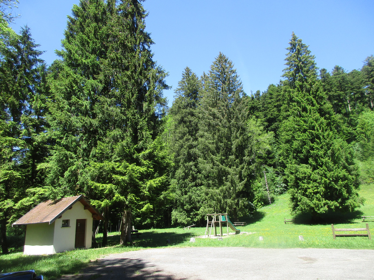 IMG 7576