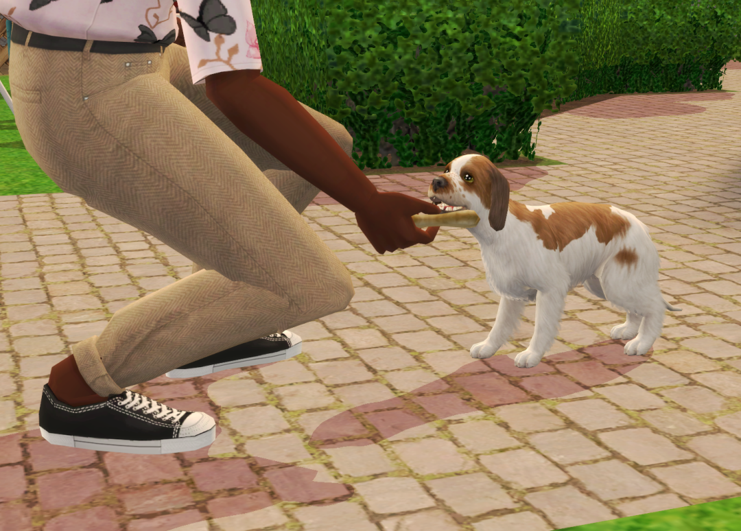 Sims2-EP9-RPC-2024-04-07-11-59-17-41