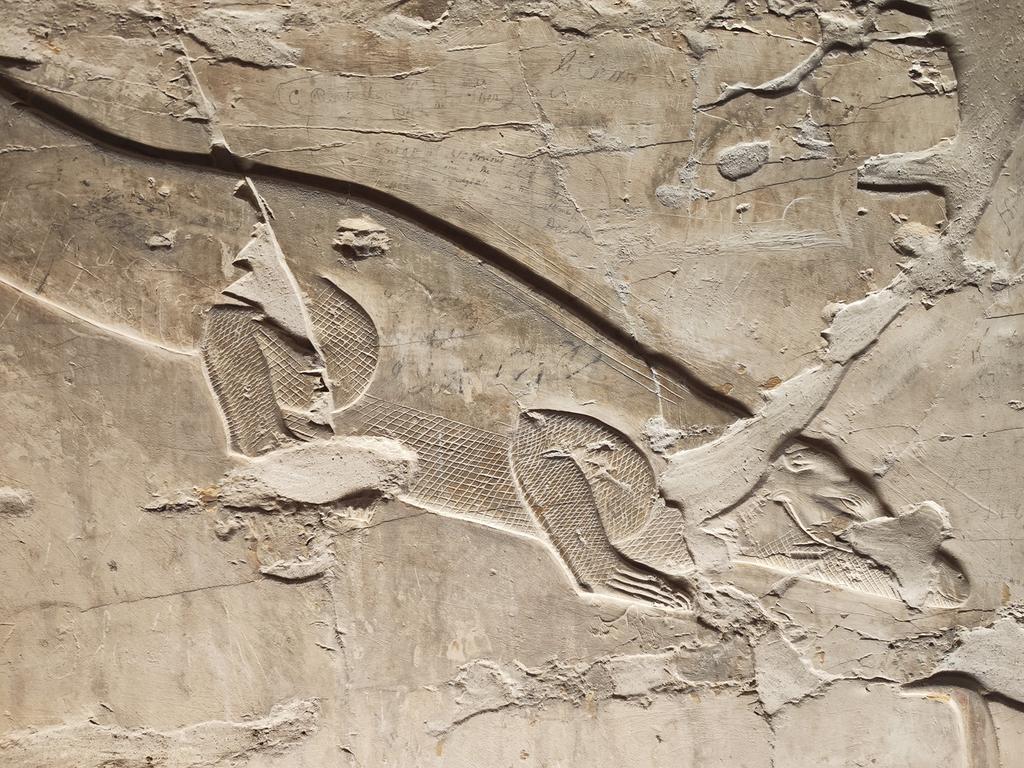 Ленивый Египет (Хургада, Луксор, Каир), декабрь 2025 - январь 2026