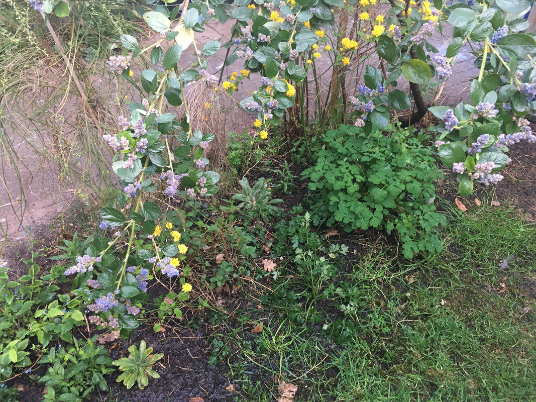 D226DA5B-B917-45C2-9903-5767F0AF7219