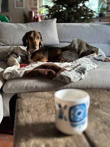 [Image: IMG-20240402-122705.jpg]