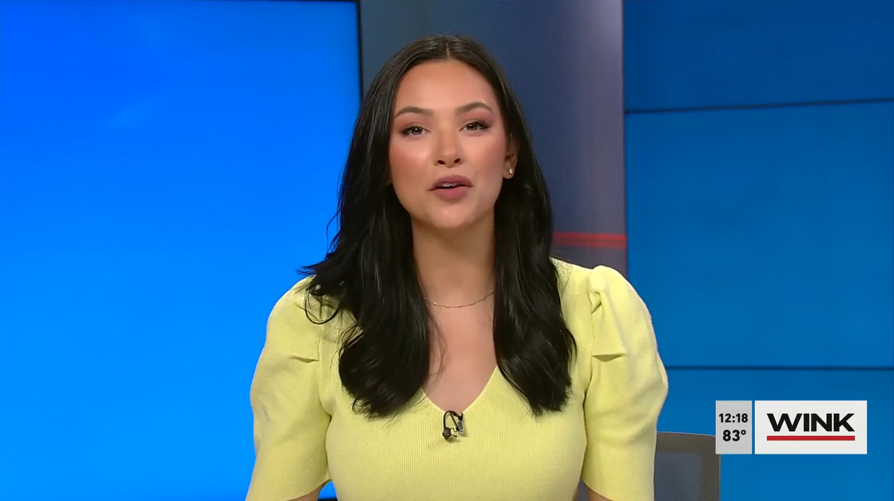 03.29 - 17.00.00 - The Wink Noon News  ᴺᵉʷ. Midday News Update.-1.mp4_snapshot_25.03.058