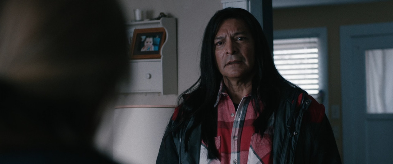 Wind River 2017 (1080p x265 10bit Tigole).mkv_snapshot_00.30.05_