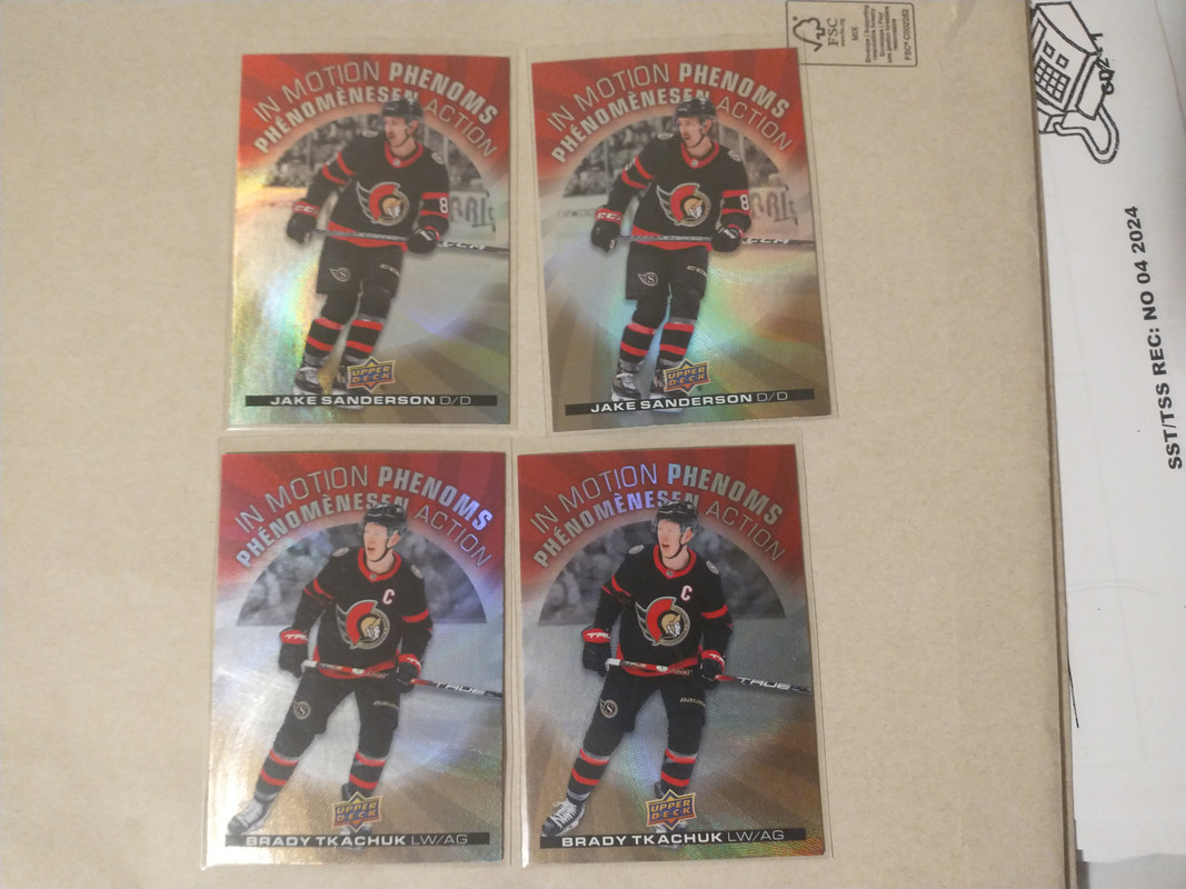 IMG_20241211_125124192