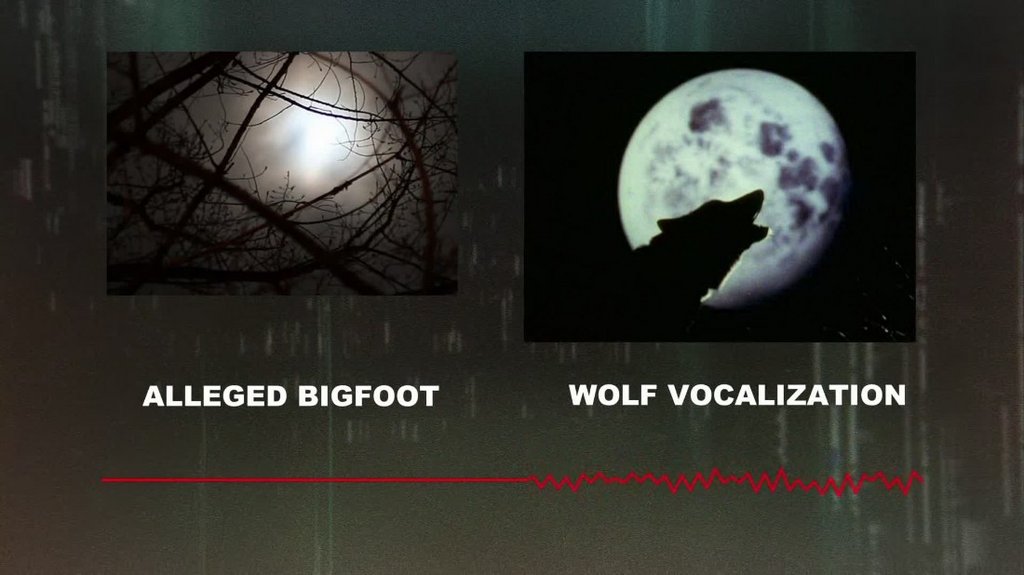 [Image: qyq25yewq8l5.jpg]