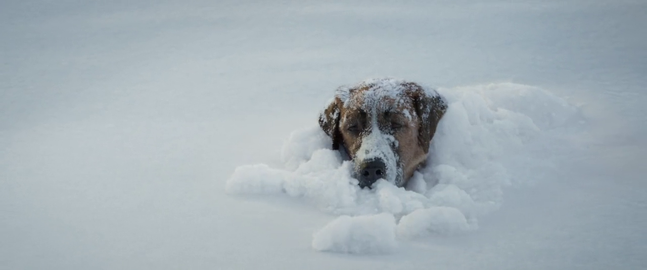 300mbunited.me--00008