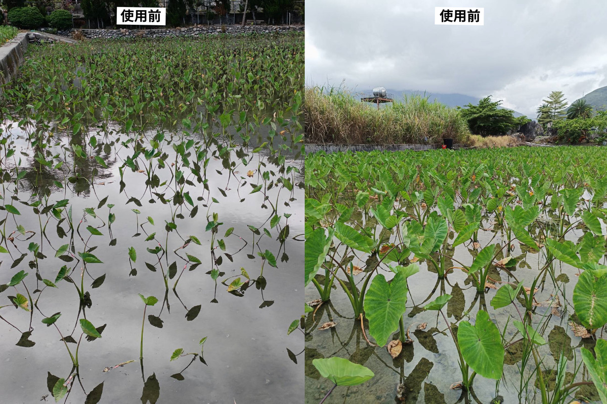 天然醫生使用案例