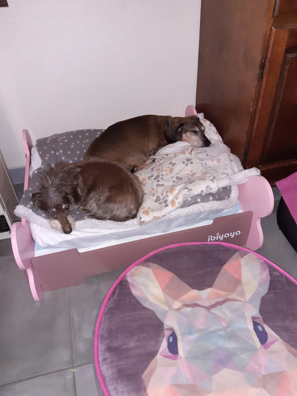 [Image: 20201127-170812.jpg]