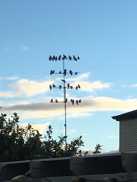 E8672983-9B09-4E88-B528-81CAE6530509