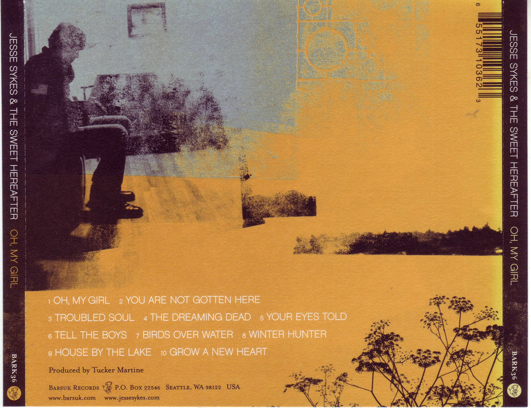 Jesse Sykes (3 CDs)- slow burn psychedelic shoegaze country