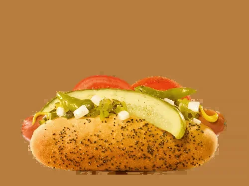Chicago Dog