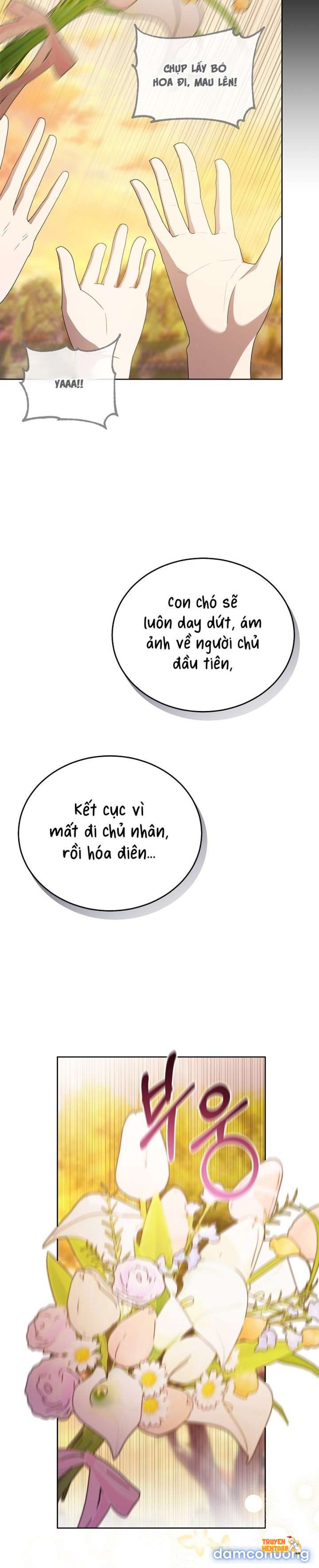 Xem ảnh [ 18+ ] Đại Công Tước Chó Má Của Tôi - Chapter 14 - tmpn xpl2ng - Truyenhentaiz.net