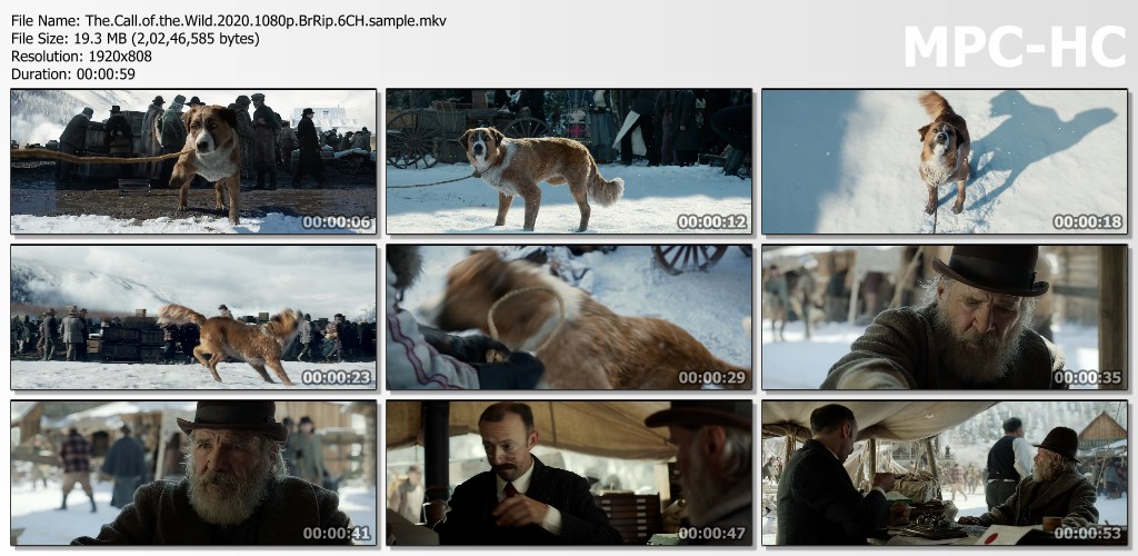 The.Call.of.the.Wild.2020.1080p.BrRip.6CH.x265.HEVC-PSA