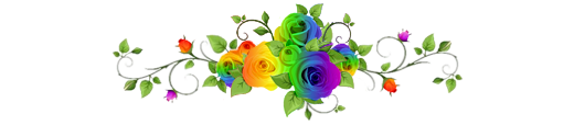 Rainbow-flower-divider.png
