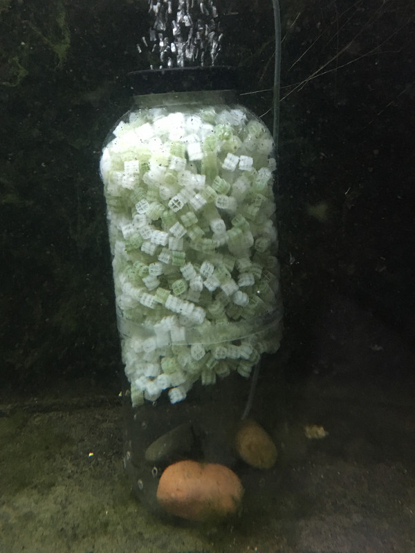 60F0F252-AC28-4998-BF45-0F0B0B8FB318