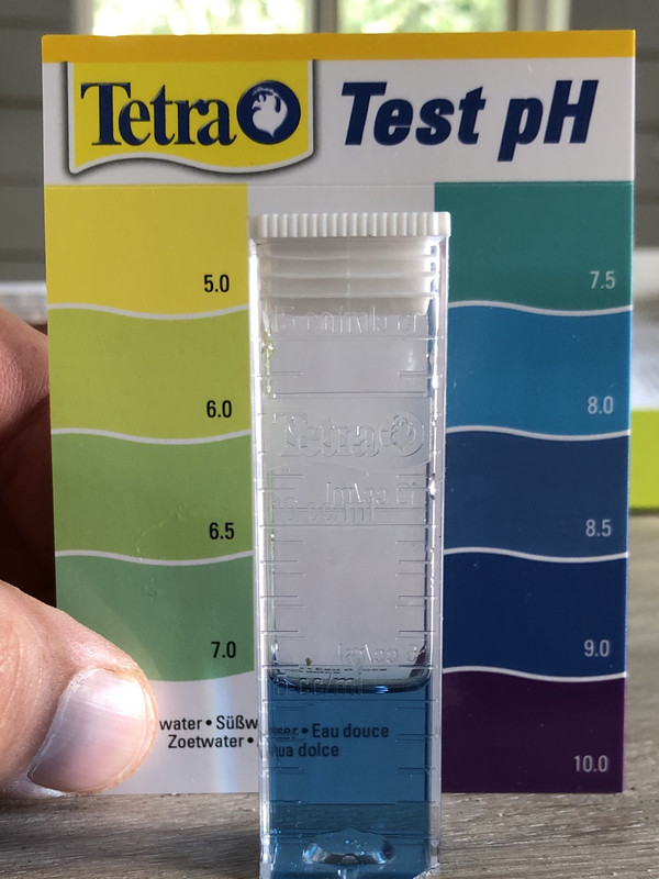 EEFDE2CB-713B-4578-8988-DA8FFDF728FB