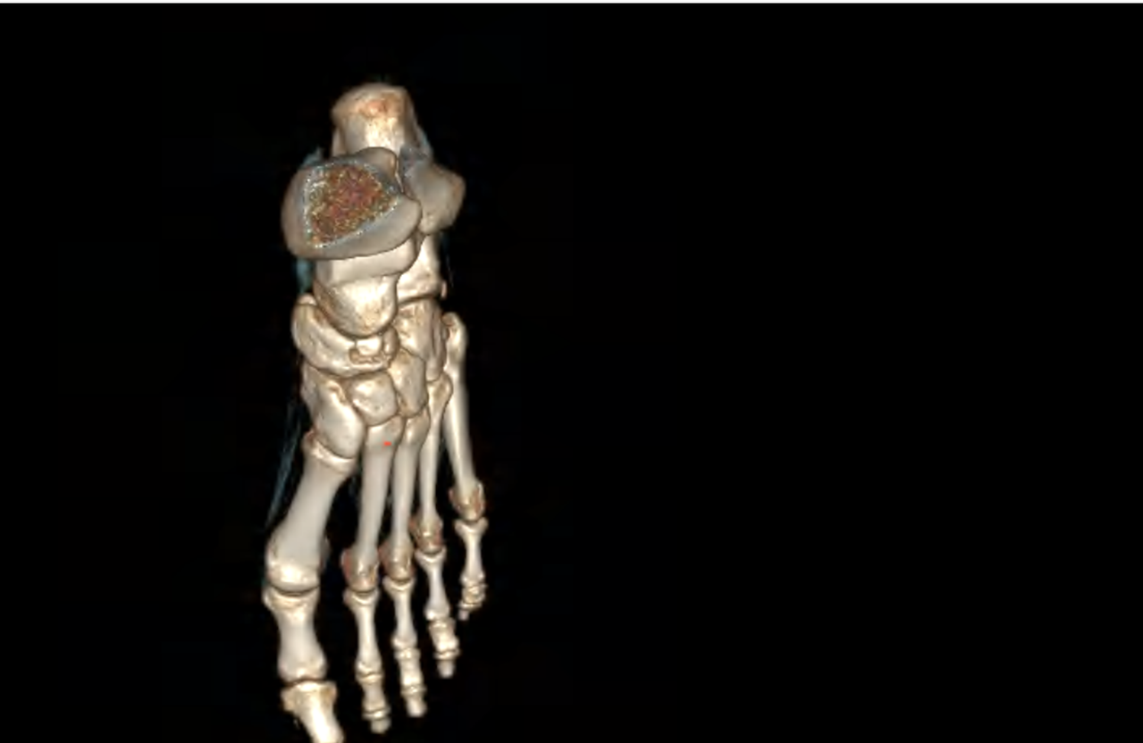 Screenshot 2025 11 16 at 01 17 19