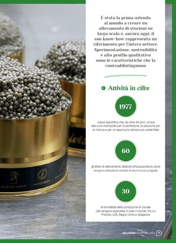 melaverde Nov 2022 (10)