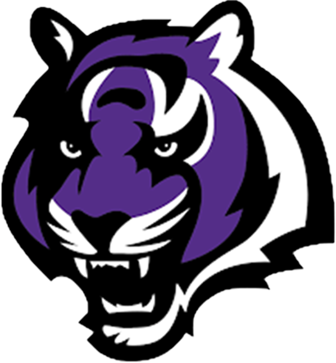 Millennium logo