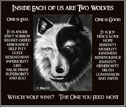 twowolves