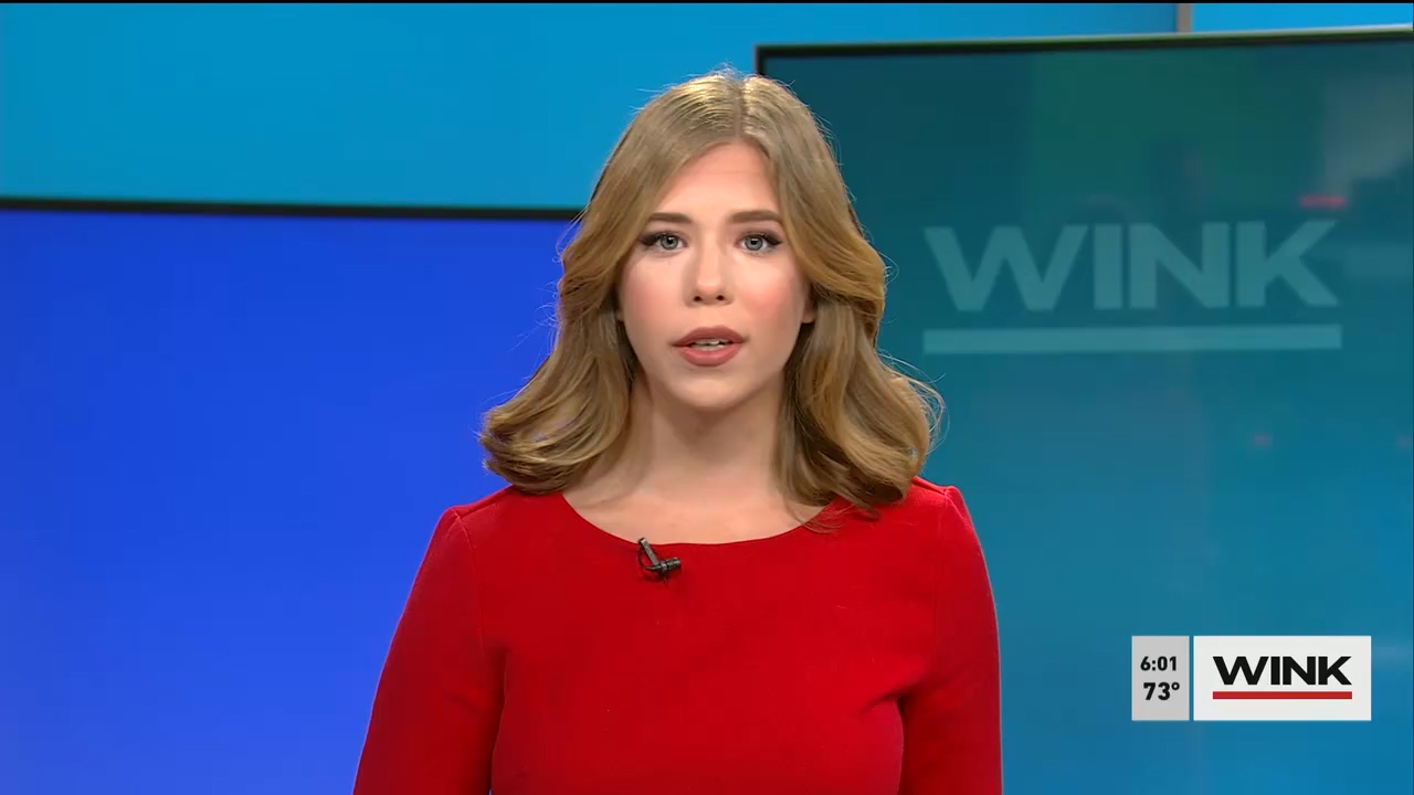10.02 - 11.00.00 - WINK News @ 6 00am..ts_snapshot_03.02.484