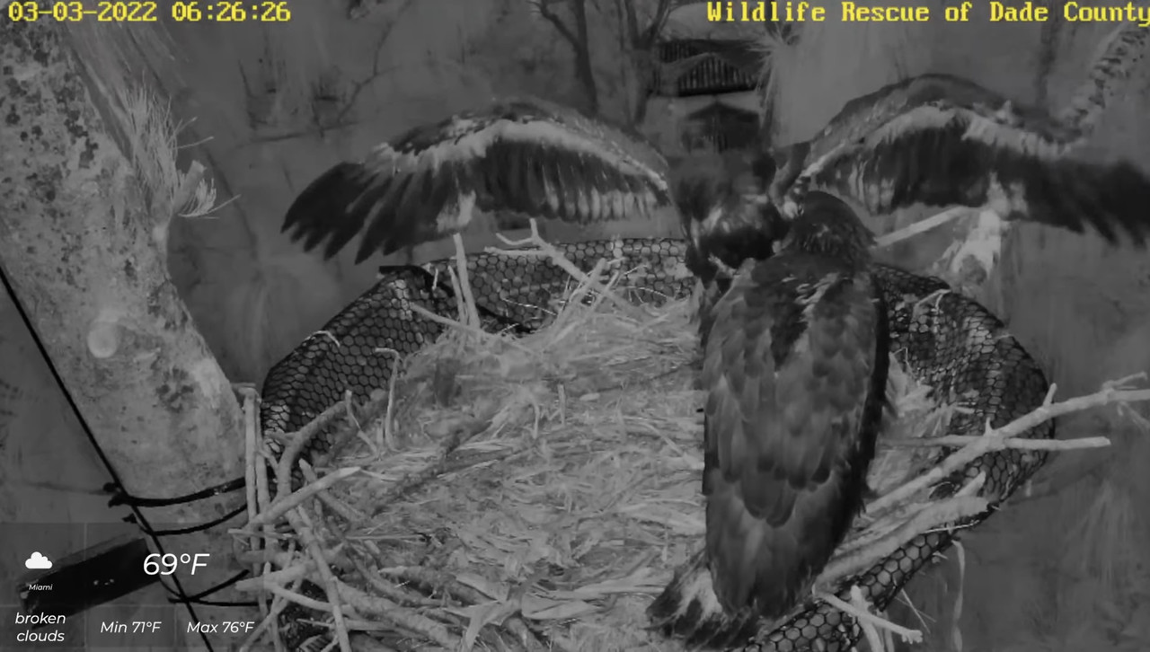 706C92A1-D3A5-4493-ADCF-7F3880308FF3