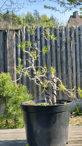 065756ee-a52a-4a5e-9086-5ac024381b6b.gif
