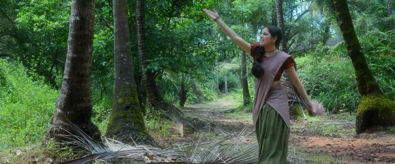 vlcsnap 2026 02 14 09h30m06s462