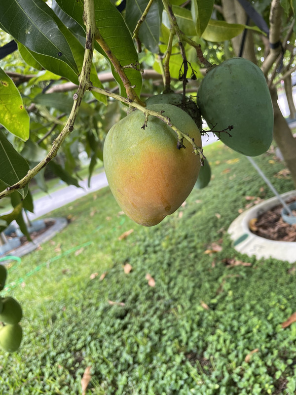 8AB9D8AA-ACC5-43D0-9774-8418CC66C5B0