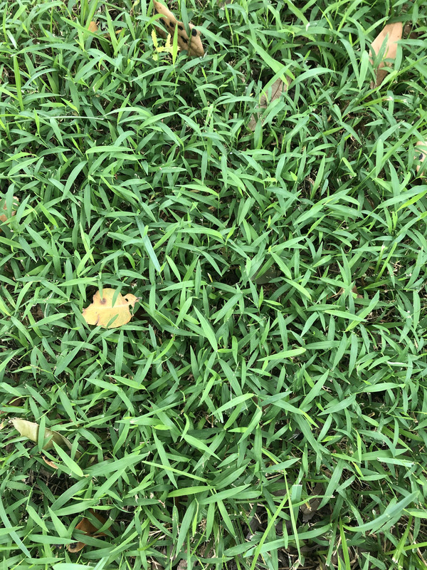 B74289B3-1223-4E8E-B445-FFEB1B1733F0