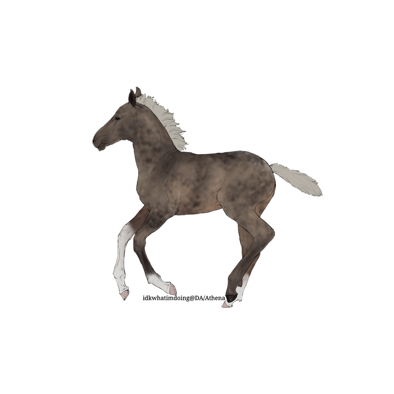Untitled88-20250424201523.png