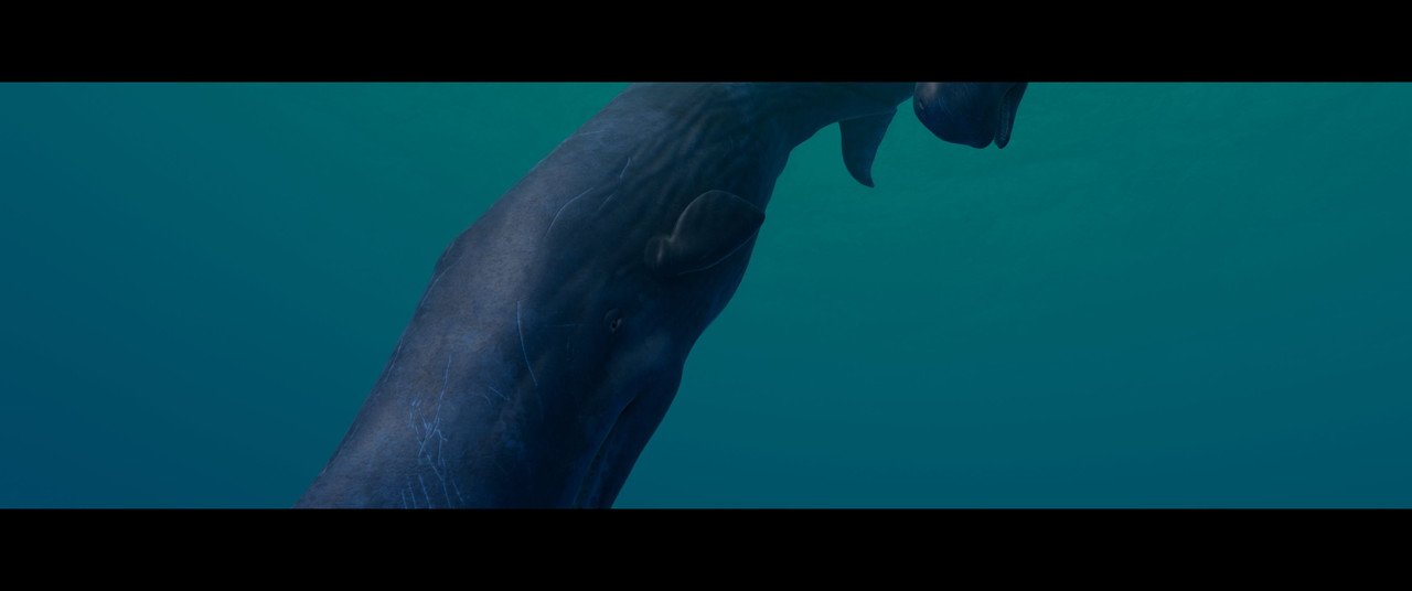 Beyond-Blue-Screenshot-2024-02-01-16-57-