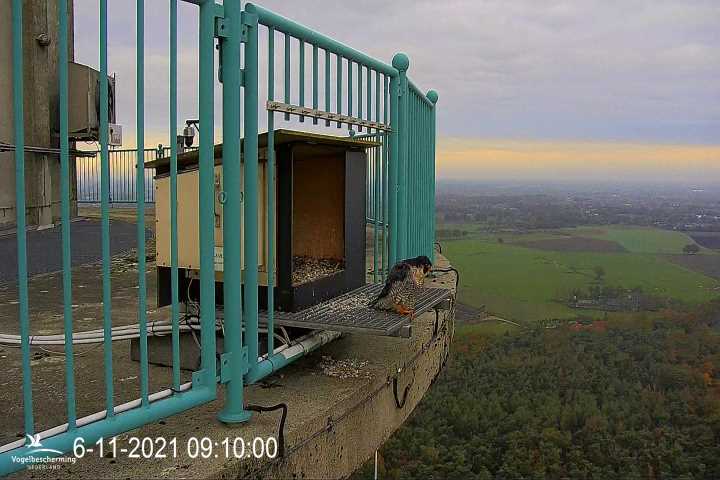 campics vanaf 1 juli  © VWGGemert  en bonusjes van ter plekke 5