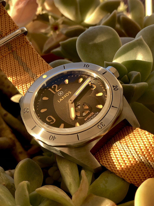 6CE31EE1-58E0-4D32-A1F0-C75CC18E4DF3