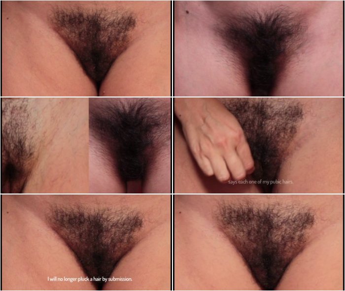 Mi-cano-peludo-3.jpg