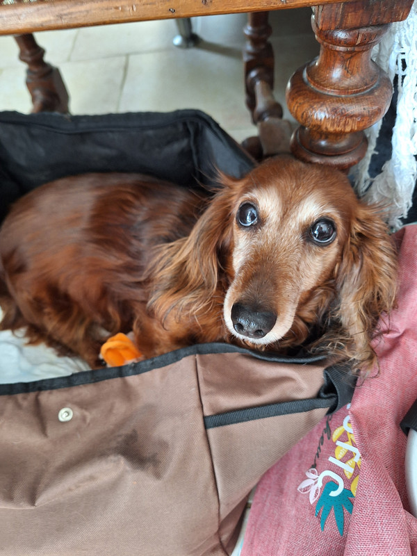 [Image: 20240404-135525.jpg]