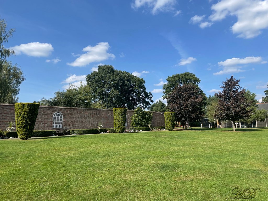 garden7.jpg