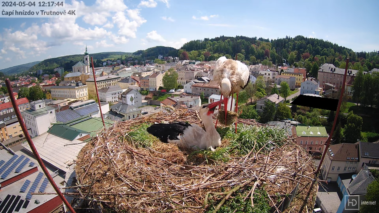 Tiešraidē no stārķa ligzdas uz alus darītavas skursteņa Trutnovā 7-35-6 screenshot