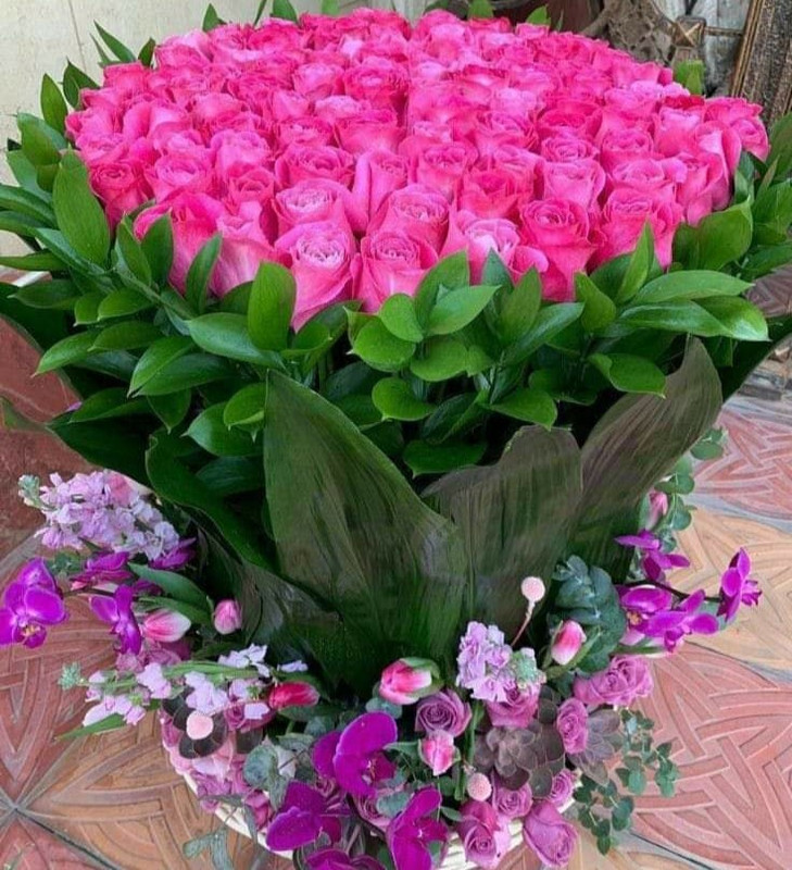 139138070_1340721646301176_5107689536459865931_n