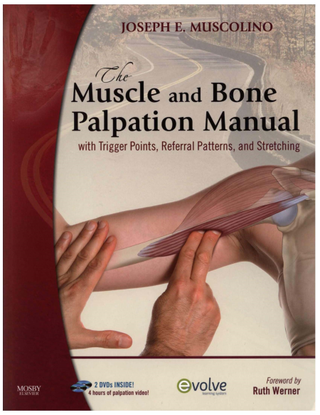 The Muscle and Bone Palpation Manual With Trigger Points, Referral Patterns & Stretch The Muscle and Bone Palpation Manual With Trigger Points, Referral Patterns & Stretch