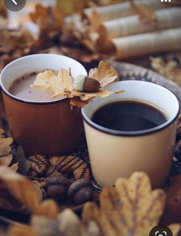 Screenshot_20230830_225325_Pinterest