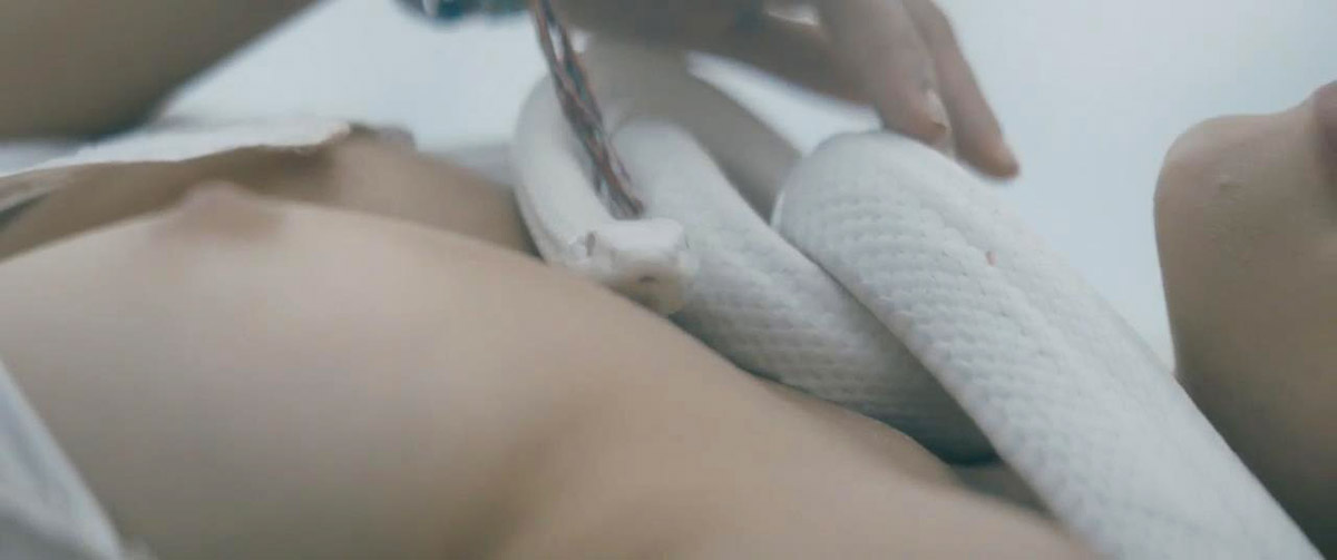 Dianna-Agron-Nude-Topless-Sex-Compilation-Bare-10-optimized