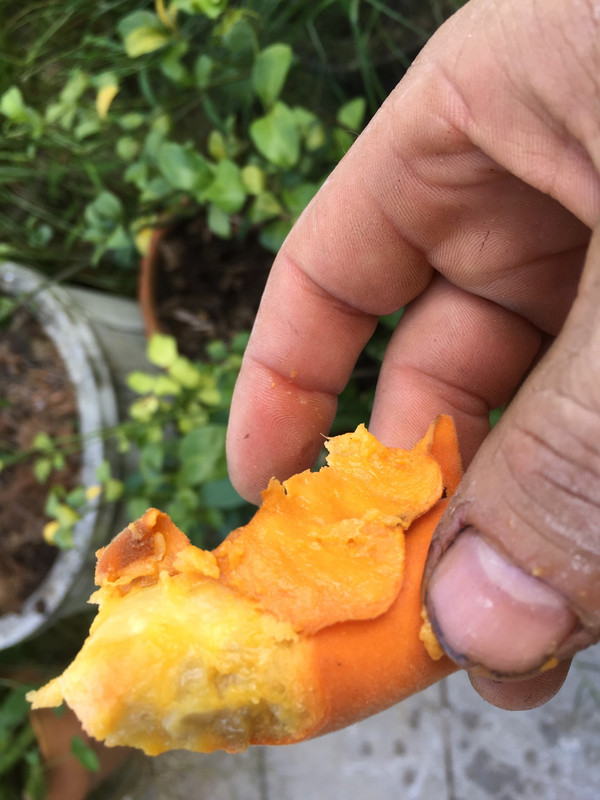 C1597E88-F932-41E3-938A-4B28505472BE