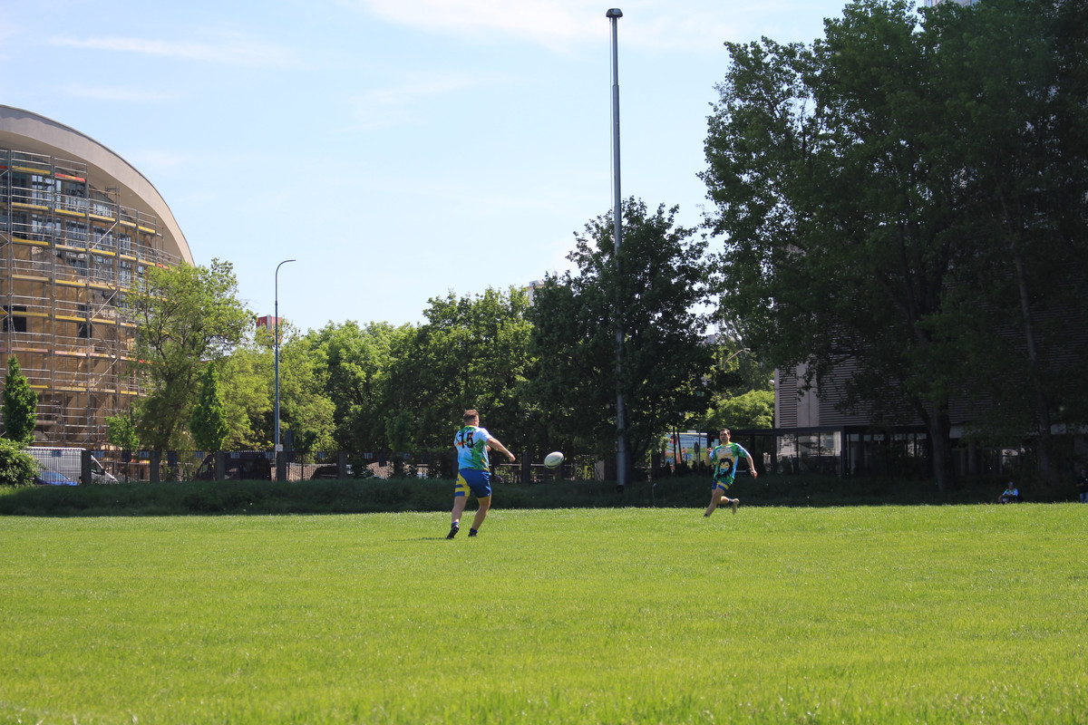 IMG-0311