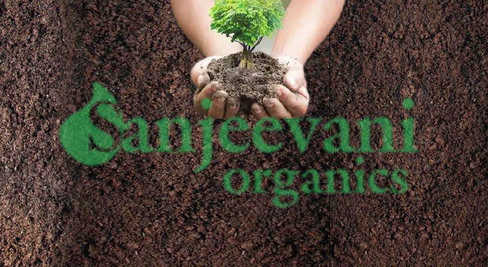 SANJEEVANI ORGANICS 