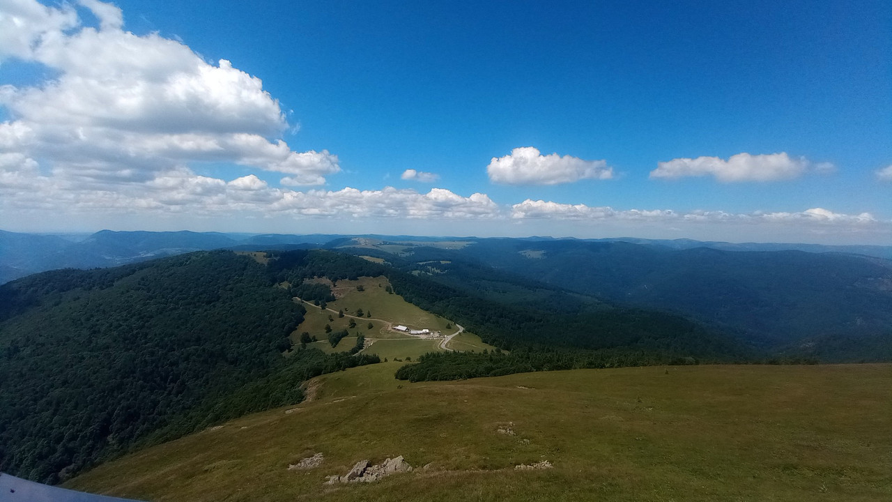 IMG_20250629_140041 (Large)