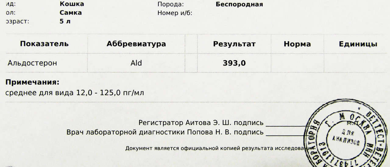 Альдостерон