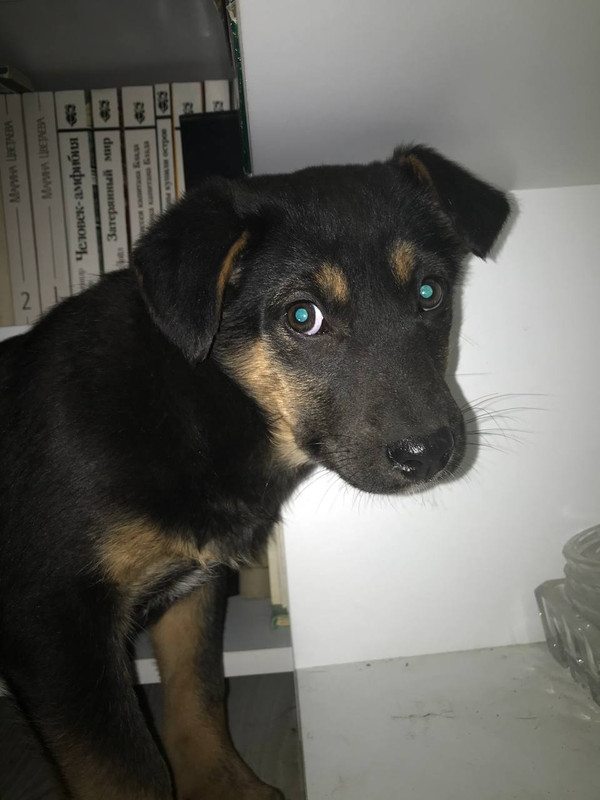 4CAB3DDB-FBA6-4F92-A183-898CE17C5C4D