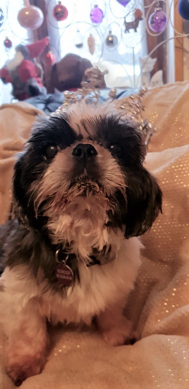 [Image: 20221224-100011.jpg]